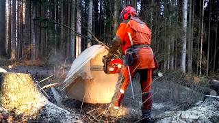 HUSQVARNA 560 XP The best chainsaw in the world HUSQVARNA 560XP [upl. by Suissac]