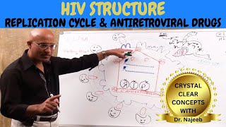 HIV AIDS  Sign Symptoms Transmission amp Treatment  Dr Najeeb🩺 [upl. by Singhal]