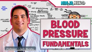 Cardiovascular  Fundamentals of Blood Pressure [upl. by Nohsed]