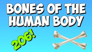 The Bones Song Learn the bones of the human body [upl. by Adnaral9]