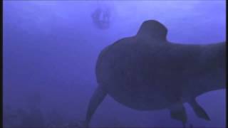 Sea Monsters Megalodon vs Dunkleosteus Offical HD Trailer preview [upl. by Merth]