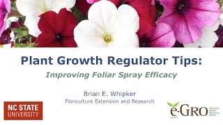 Increasing PGR Foliar Spray Efficacy [upl. by Elmaleh]