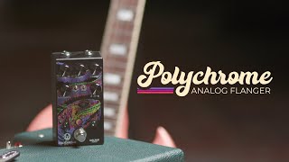 Walrus Audio Polychrome Analog Flanger Tech Demo [upl. by Nadabb]