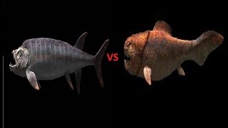 Xiphactinus vs Dunkleosteus [upl. by Theda]