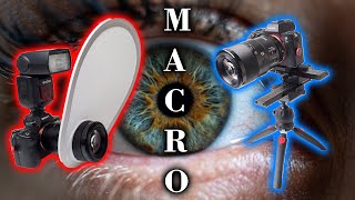 Shoot EVERYTHING with these 2 Macro Photography Setups [upl. by Loram]