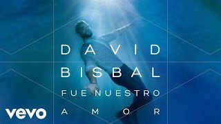 David Bisbal  Fue Nuestro Amor Audio [upl. by Adnoel]