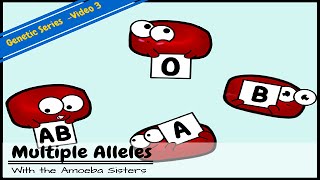 Multiple Alleles ABO Blood Types and Punnett Squares [upl. by Rezzani]