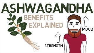 ASHWAGANDHA BENEFITS What Ashwagandha Is And How It Works [upl. by Gage]