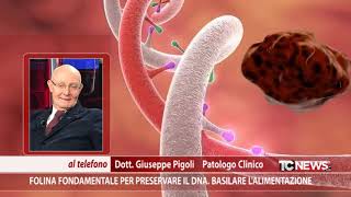 Folina fondamentale per preservare il DNA Basilare lalimentazione [upl. by Yllor]