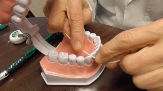 How to Floss The Right Way [upl. by Greyso]