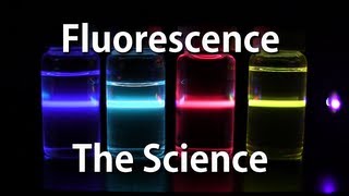 How Fluorescence Works  The Science [upl. by Lleddaw]