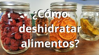 ¿Cómo deshidratar alimentos [upl. by Sid862]