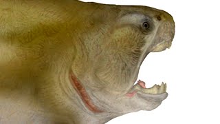 Paleo Profile  Dunkleosteus [upl. by Ninon]