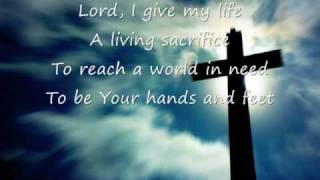 Life Song  Casting Crowns [upl. by Yvan]