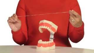 How to Floss Your Teeth [upl. by Ioves]