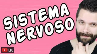 SISTEMA NERVOSO  FISIOLOGIA  Aula  Biologia com Samuel Cunha [upl. by Leasi]