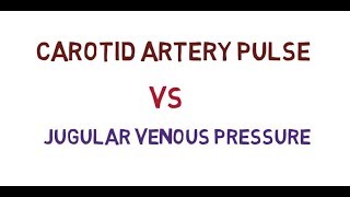 carotid artery pulse VS jugular venous pressure [upl. by Winer]