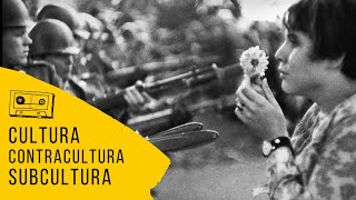 O que é cultura contracultura e subcultura [upl. by Massimo]