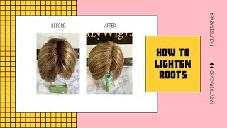 How to LIGHTEN ROOTS ON A WIG  Estetica SKY RH1488RT8  Step by Step Instructions [upl. by Efron]