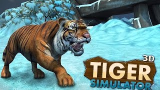 Tiger Simulator 3D Wildlife  Gameplay Android [upl. by Neirad]