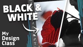 How to Create A BLACK amp WHITE Image in Photoshop [upl. by Ahsertal]