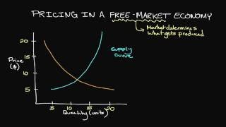 Pricing in a FreeMarket Economy [upl. by Kubetz]