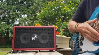 Phil Jones Bass Double Four unboxing and review [upl. by Eziechiele]