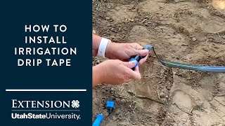 How to Install a Drip Tape Irrigation System [upl. by Nihcas]