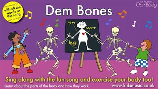 Kidzone  Dem Bones [upl. by Tubb]