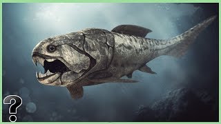 What If The Dunkleosteus Didnt Go Extinct [upl. by Stolzer786]