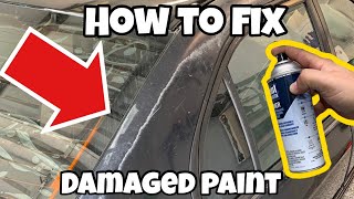 The CHEAPEST Way to Permanently Fix Peeling Paint [upl. by Gerladina]