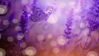 Beautiful Relaxing Calming Music Cleanse Negative Energy Calm Positive Energy Sleep Music★ 64 [upl. by Hughett120]