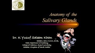 Anatomy  Salivary Glands  Parotid SubMandibular amp SubLingual  Dr Yusuf [upl. by Eigna]