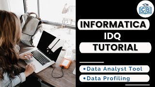 Informatica Data Quality Tutorial  IDQ  Developer Terms and Concepts [upl. by Kassity]