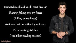 Shawn Mendes  STITCHES Lyrics [upl. by Dhu]