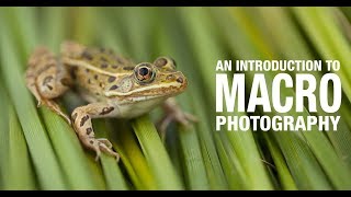 An Introduction To Macro Photography [upl. by Aidnyl]