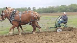 Horse plowing at Rohrer Farm [upl. by Reiss]