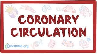 Coronary circulation  an Osmosis Preview [upl. by Netsryk]