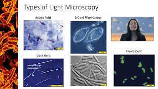 Types of Light Microscopy [upl. by Norrie]