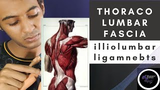 ILIOLUMBAR LIGAMENT AND THORACOLUMBAR FASCIABIOMECHANICS OF SPINEPhysiotherapy Tutorial [upl. by Trilly]