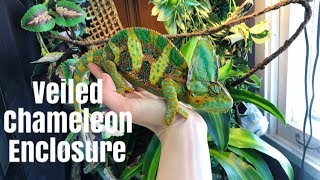 How to Set Up A Veiled Chameleon Enclosure [upl. by Ingunna284]