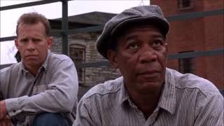 Best Quotes from The Shawshank Redemption [upl. by Dranel]