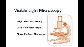 Light Microscopy [upl. by Higinbotham606]