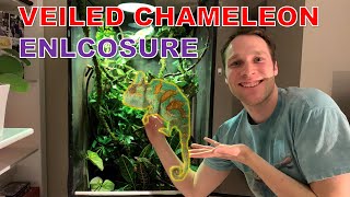 My Veiled Chameleon Enclosure  Check Out His Setup [upl. by Rednave]