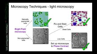 Microscopy Techniques [upl. by Matazzoni]