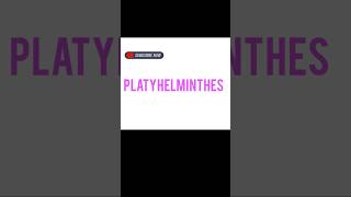 PLATYHELMINTHES [upl. by Martine35]