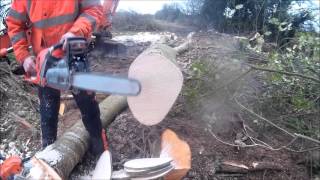 Husqvarna 560xp amp Stihl MS 362c [upl. by Eittod]