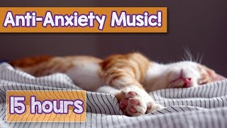 Calming Music for Cats with Anxiety Deep Soothing Music for Anxious ill and Stressed Cats 2018 [upl. by Newbill]