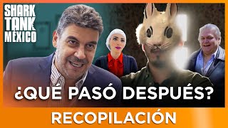 ¡Le hacemos seguimiento a los emprendedores exitosos del Tanque  Recopilación  Shark Tank México [upl. by Patrizia124]