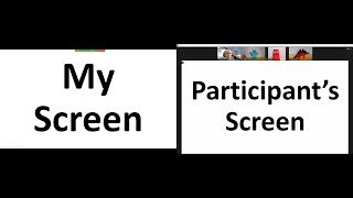 Share Multiple Screens Simultaneously in Zoom [upl. by Jordanna226]